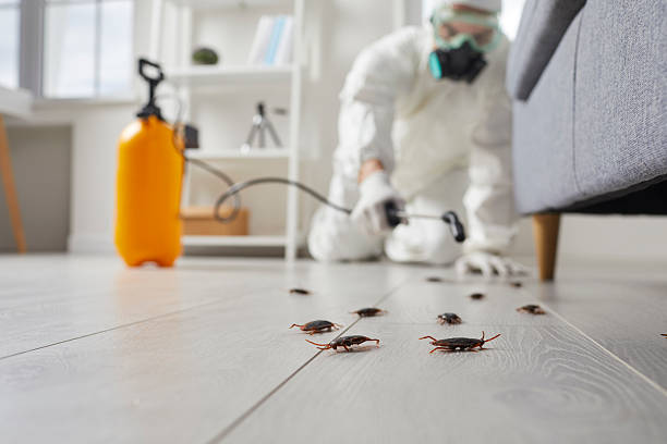 Post-Treatment Bed Bug Interceptor Monitoring in Ford City