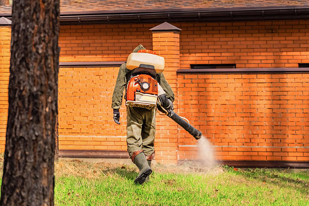 Bed Bug Clearance Verification and Documentation in Ford City